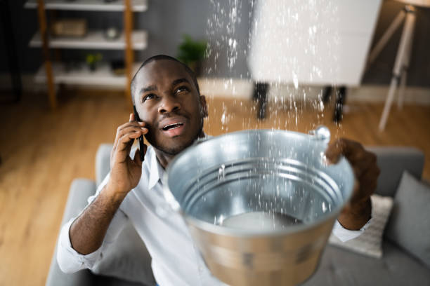 Best Water damage cleanup near me  in Jackson, WI