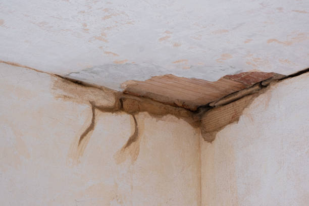 Best Local water damage restoration  in Jackson, WI
