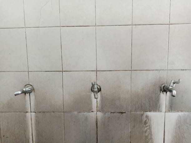Best Water damage contractors near me  in Jackson, WI