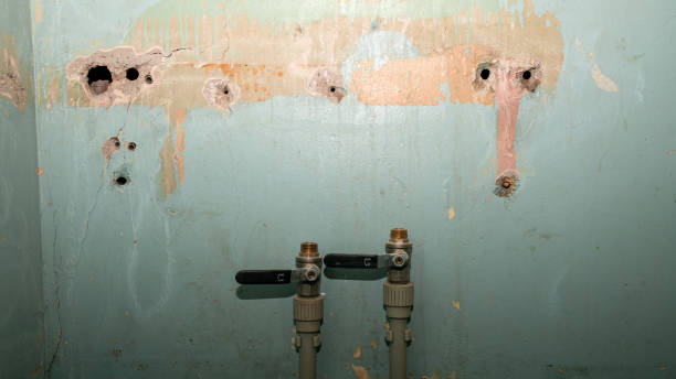 Best Carpet water damage restoration  in Jackson, WI