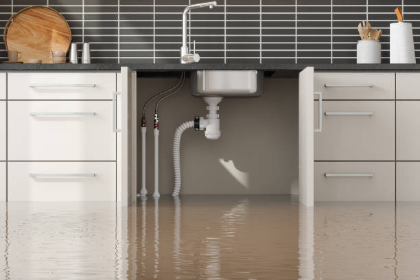 Best Emergency water damage restoration  in Jackson, WI